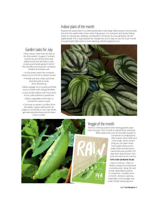 GET IT JULY 2021 page 25