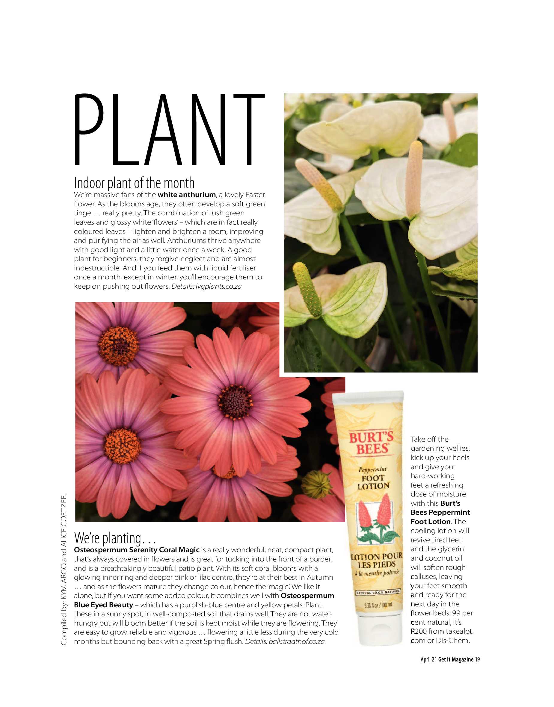 GET IT PRETORIA APRIL 2021 page 19