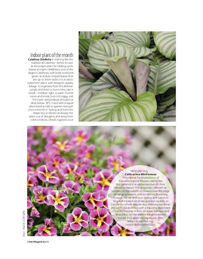 GET IT PRETORIA APRIL 2022 page 24