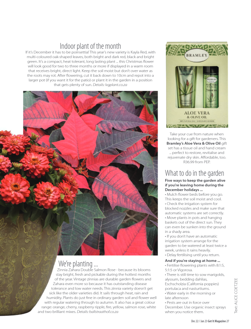 GET IT PRETORIA DECEMBER 2022 page 27