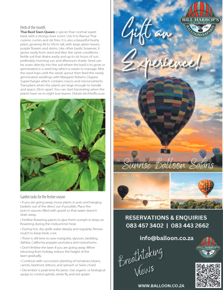 GET IT PRETORIA DECEMBER 2023 page 29