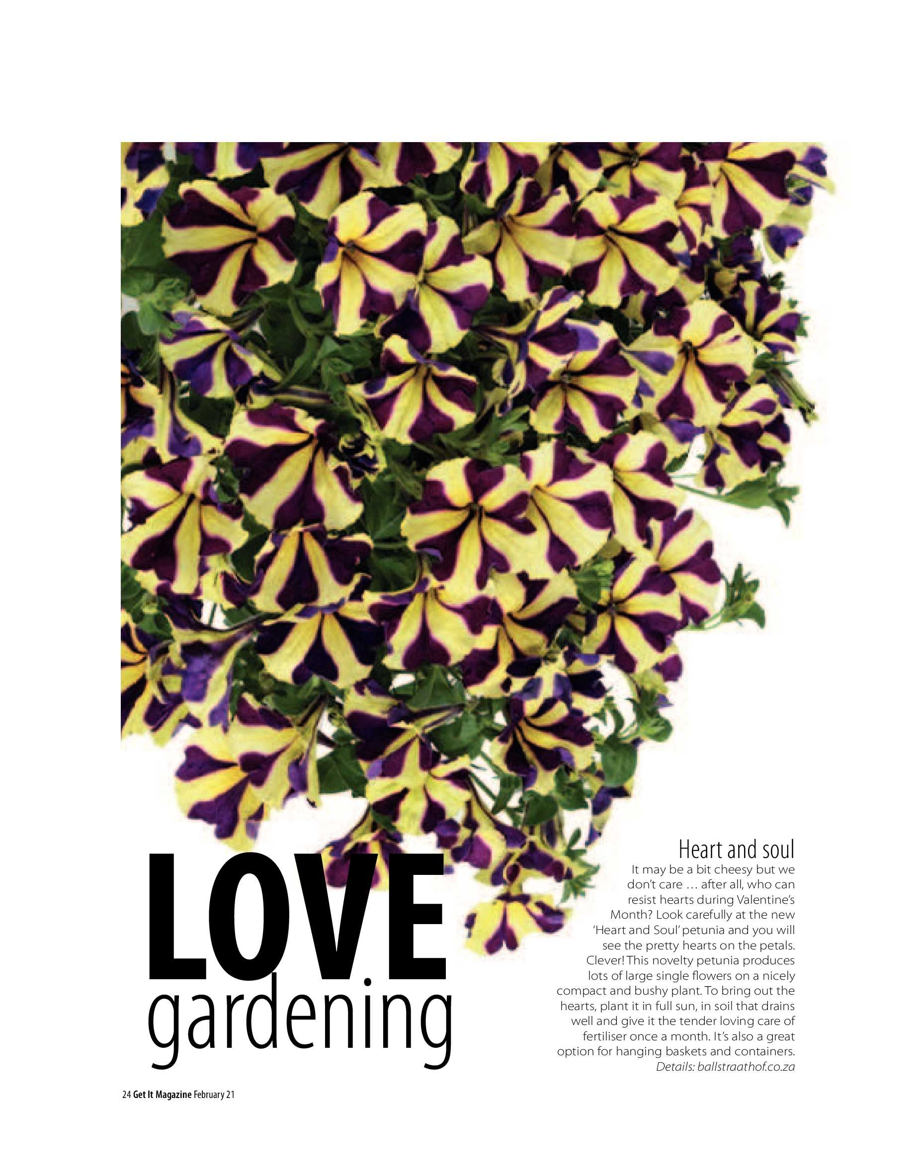 GET IT PRETORIA FEBRUARY 2021 page 24