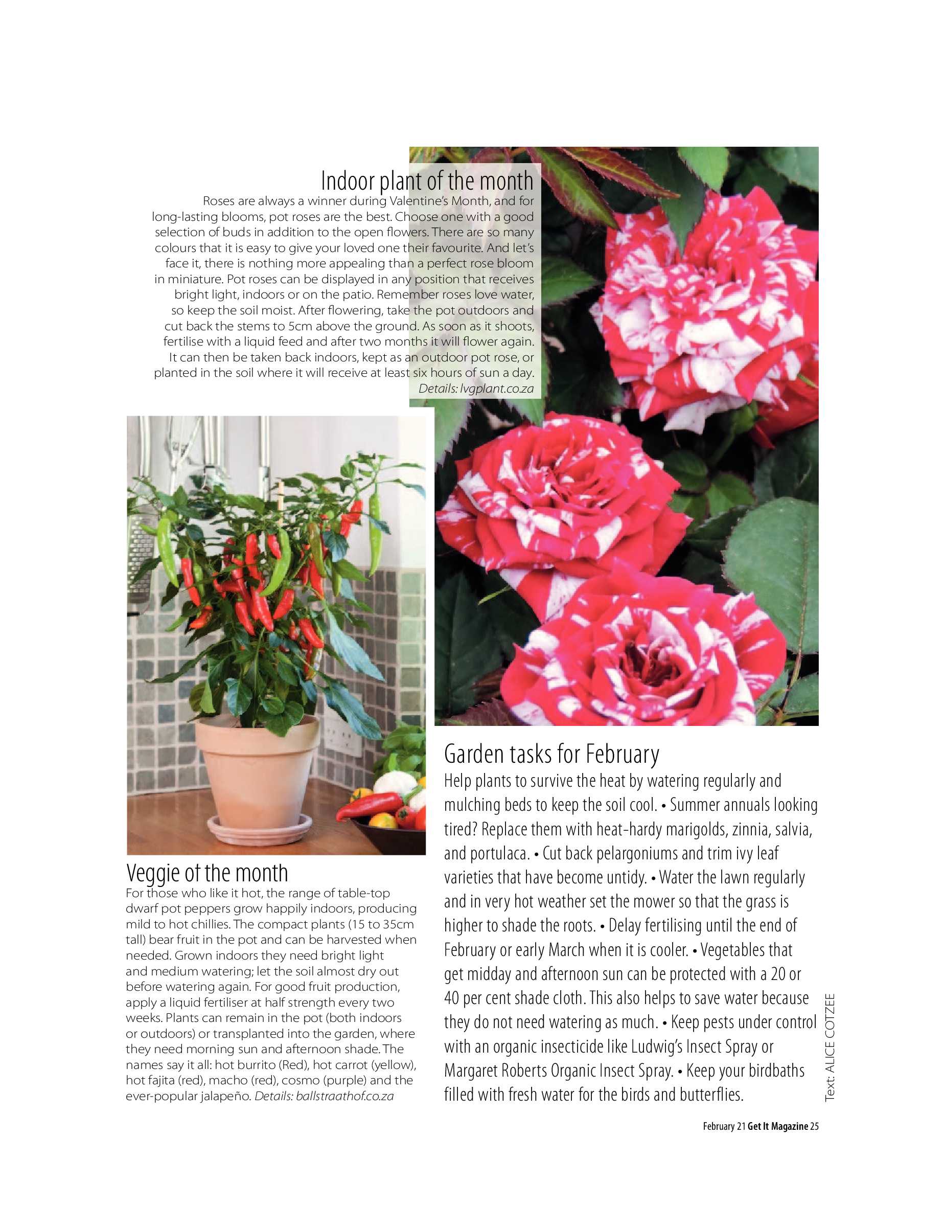 GET IT PRETORIA FEBRUARY 2021 page 25