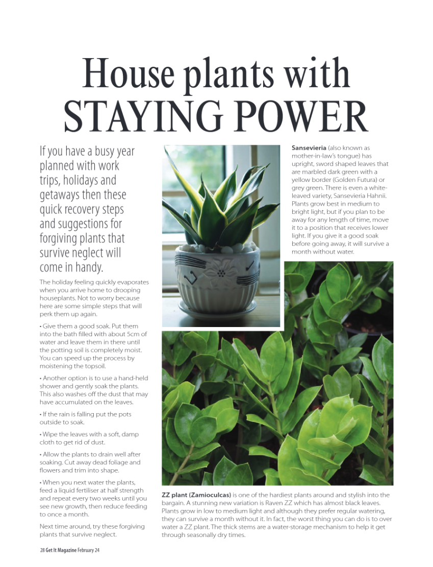 GET IT PRETORIA FEBRUARY 2024 page 28