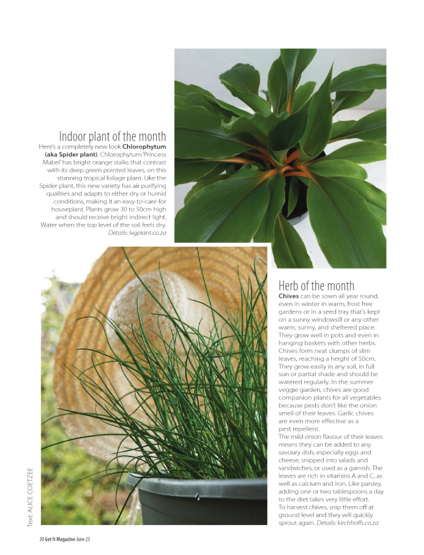 GET IT PRETORIA JUNE 2023 page 20