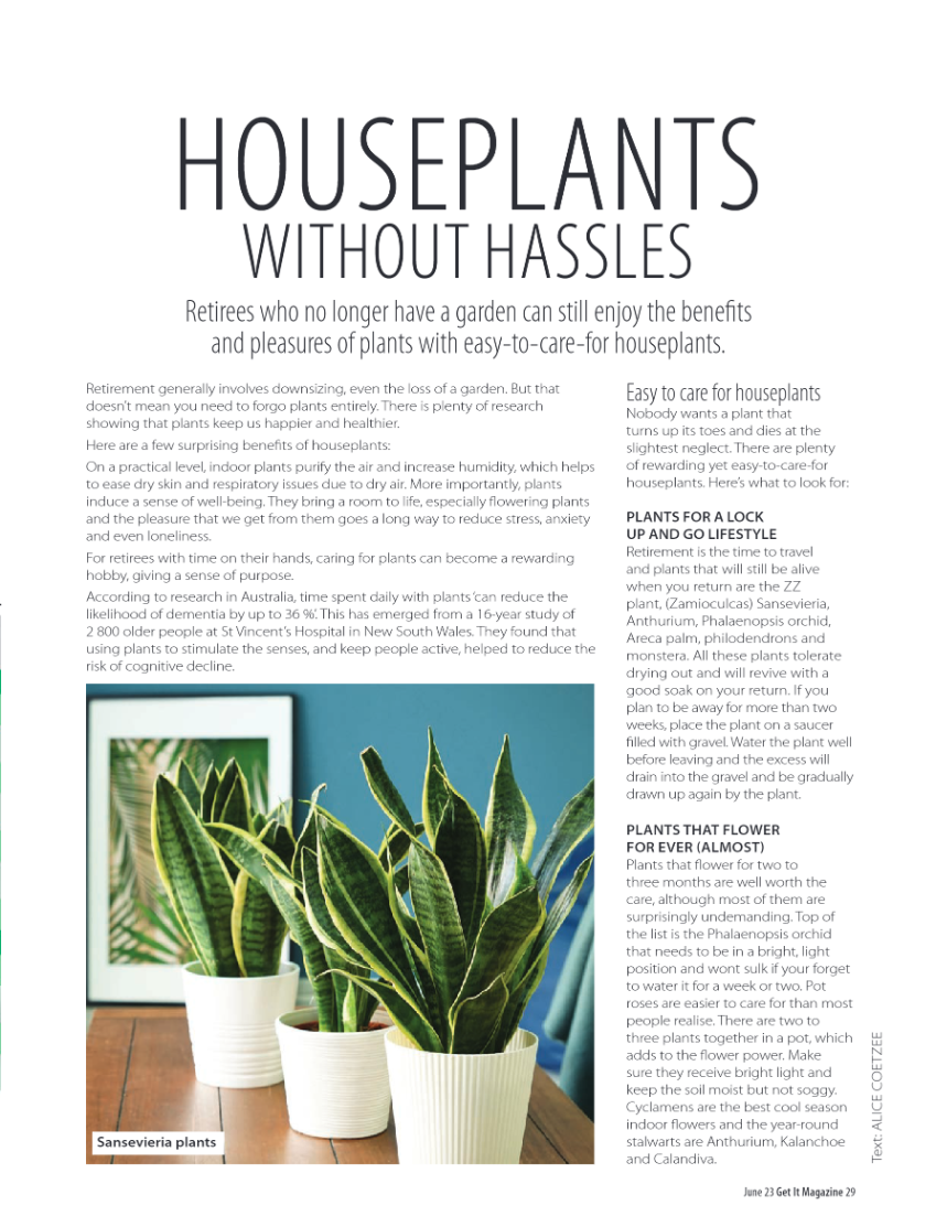 GET IT PRETORIA JUNE 2023 page 29