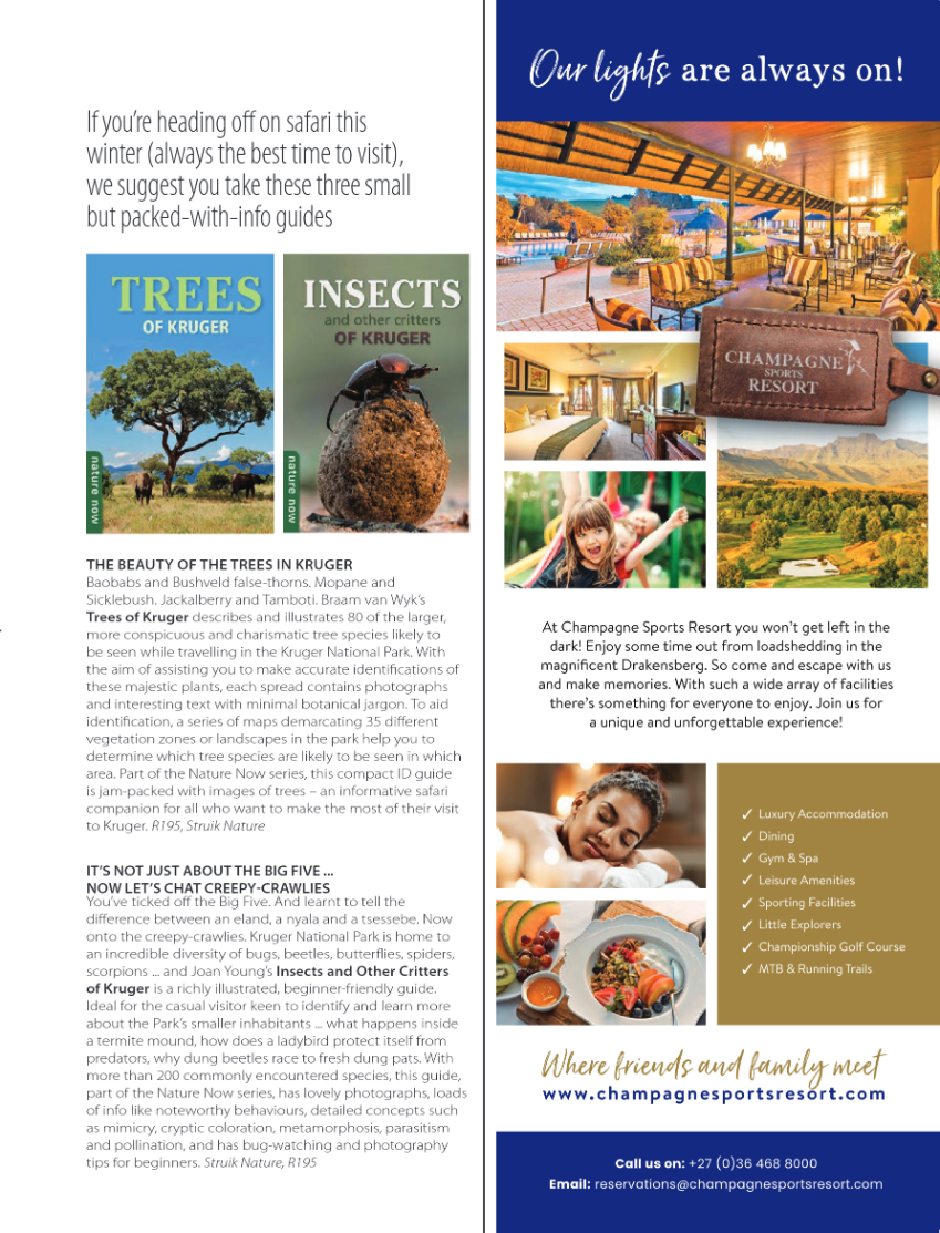 GET IT PRETORIA JUNE 2023 page 33