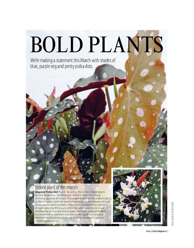 GET IT PRETORIA MARCH 2022 page 27
