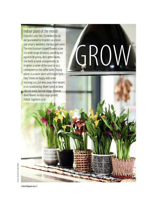 GET IT PRETORIA MAY 2021 page 24