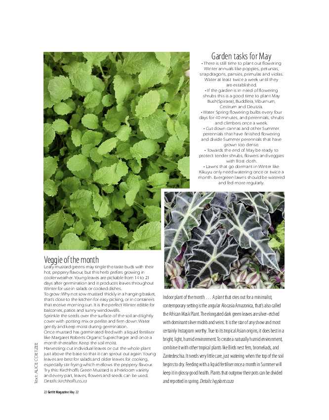 GET IT PRETORIA MAY 2022 page 22