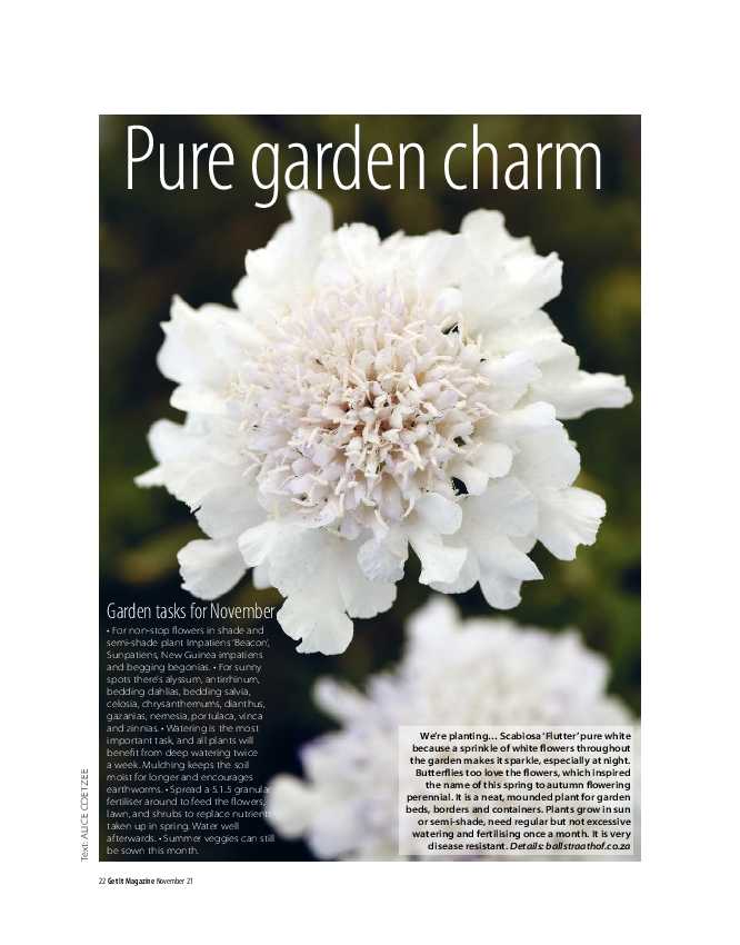 GET IT PRETORIA NOVEMBER 2021 page 22