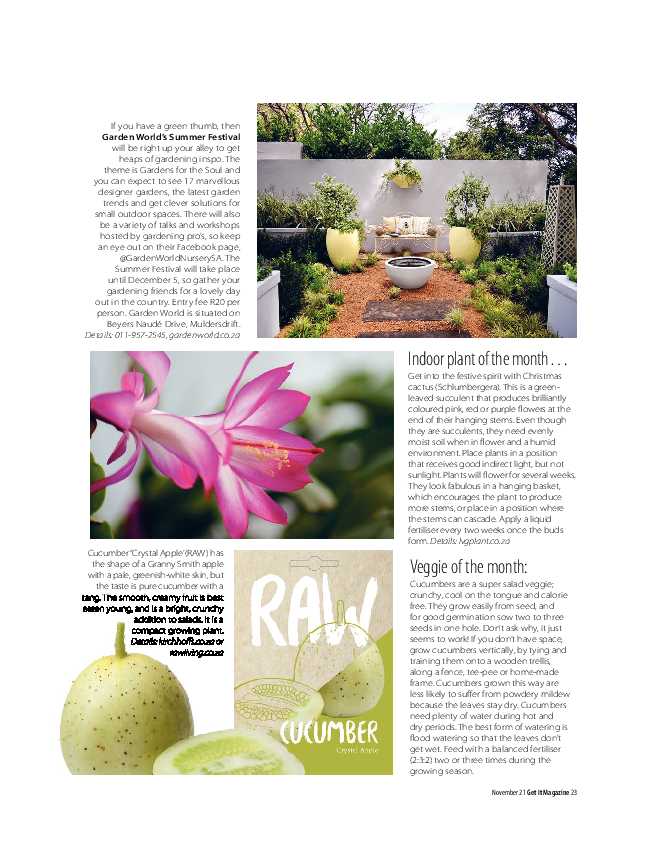 GET IT PRETORIA NOVEMBER 2021 page 23