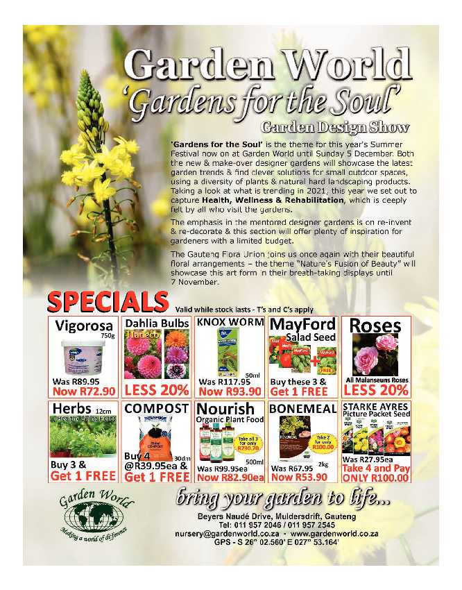 GET IT PRETORIA NOVEMBER 2021 page 25