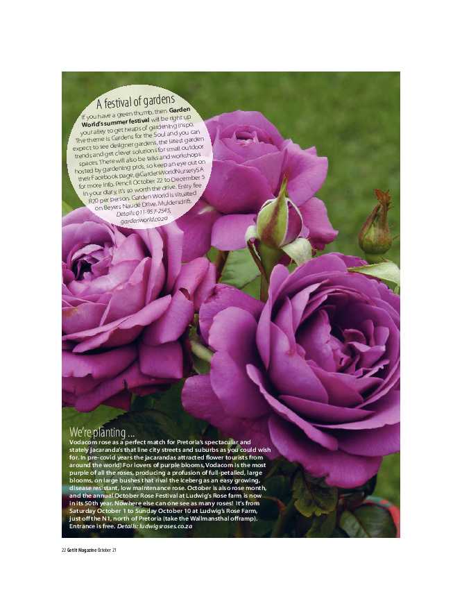 GET IT PRETORIA OCTOBER 2021 page 22