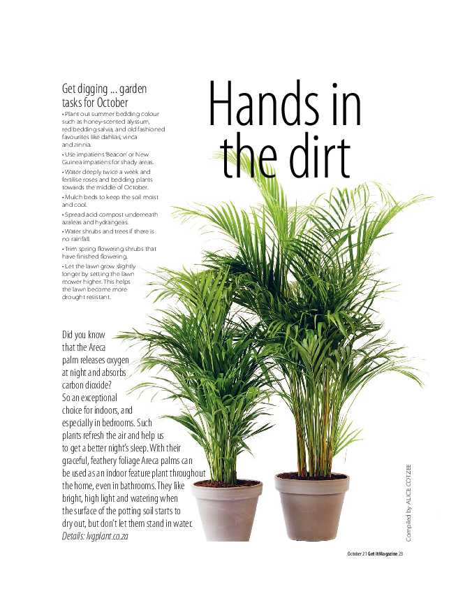 GET IT PRETORIA OCTOBER 2021 page 23
