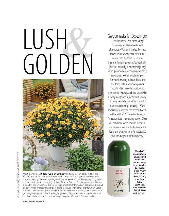 GET IT SEPTEMBER 2021 page 24