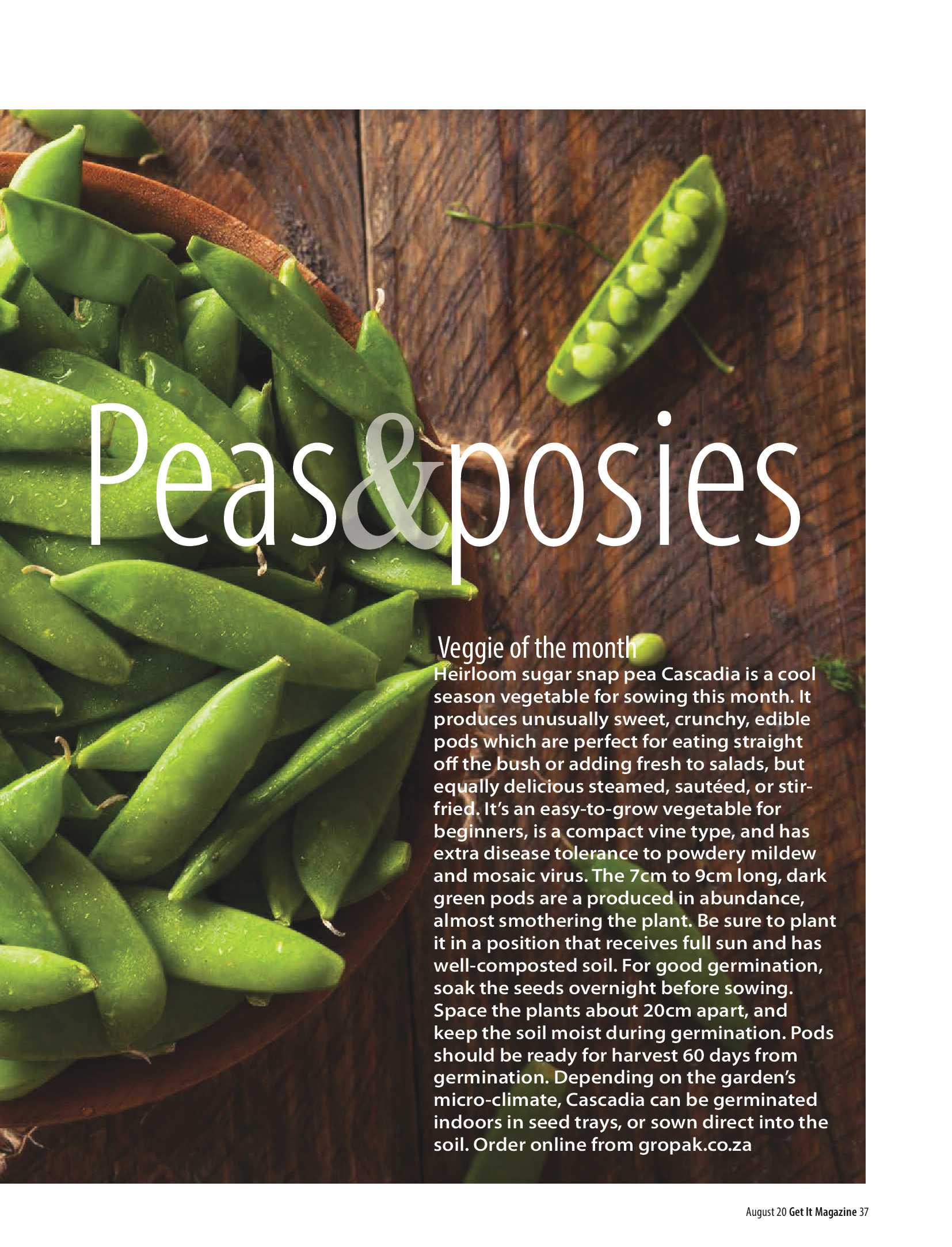 Get It August 2020 page 37