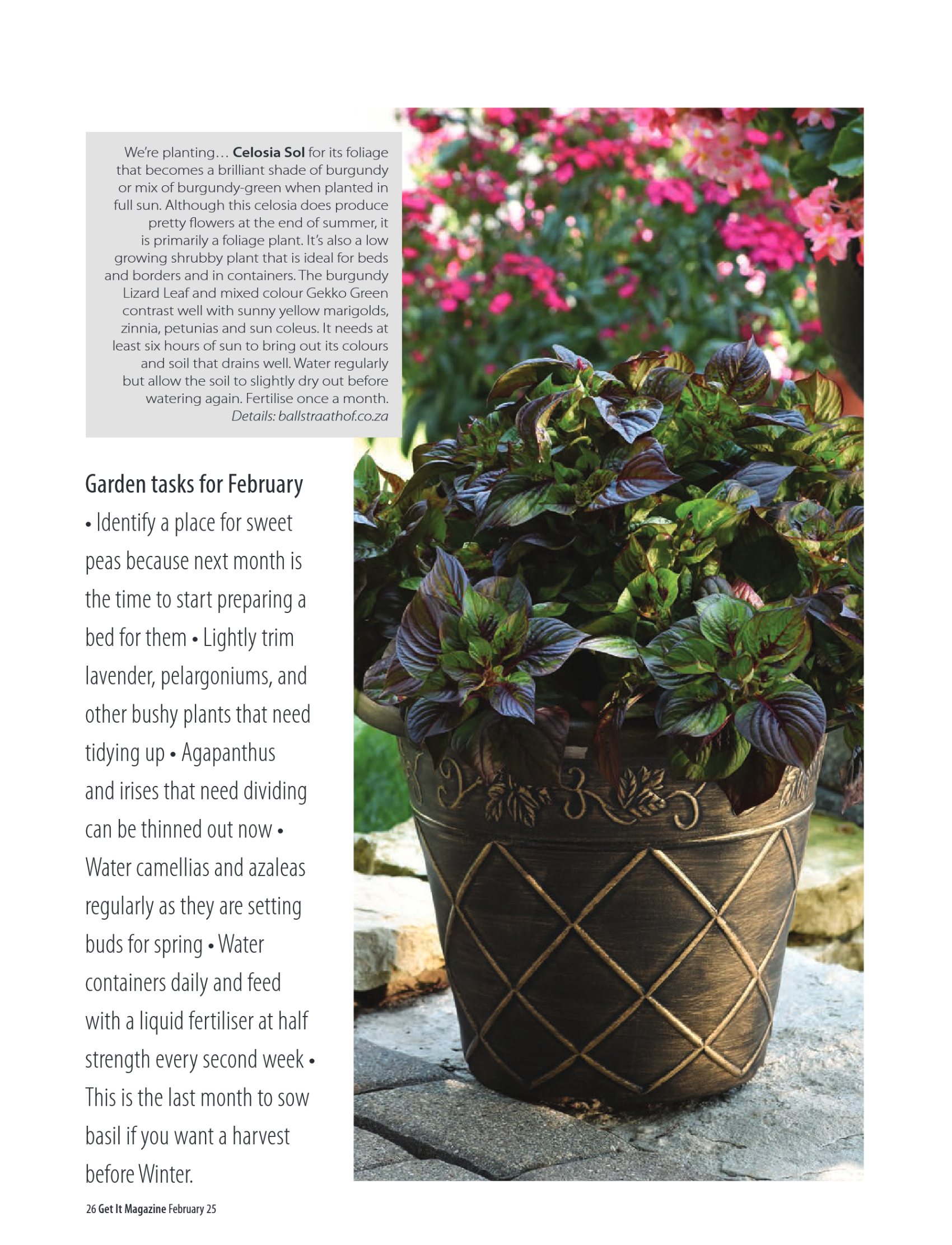 Get It February 2025 page 26