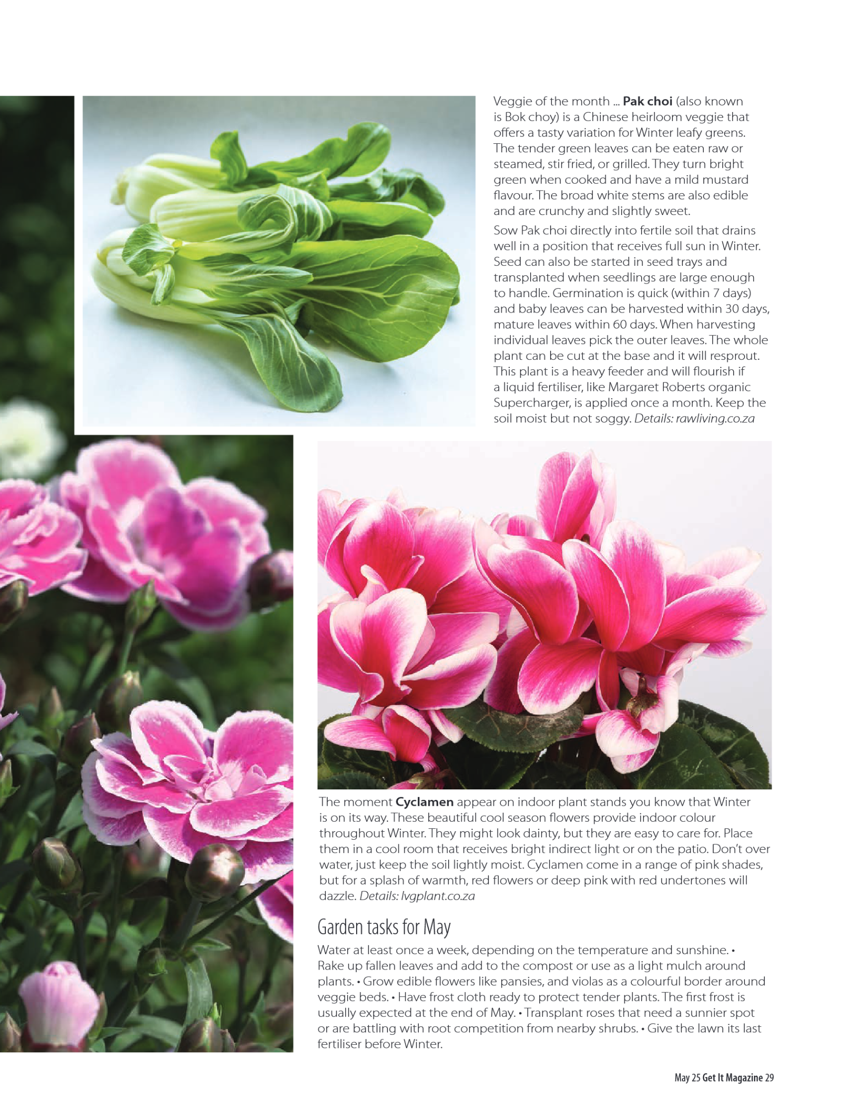 Get It May 2025 page 29