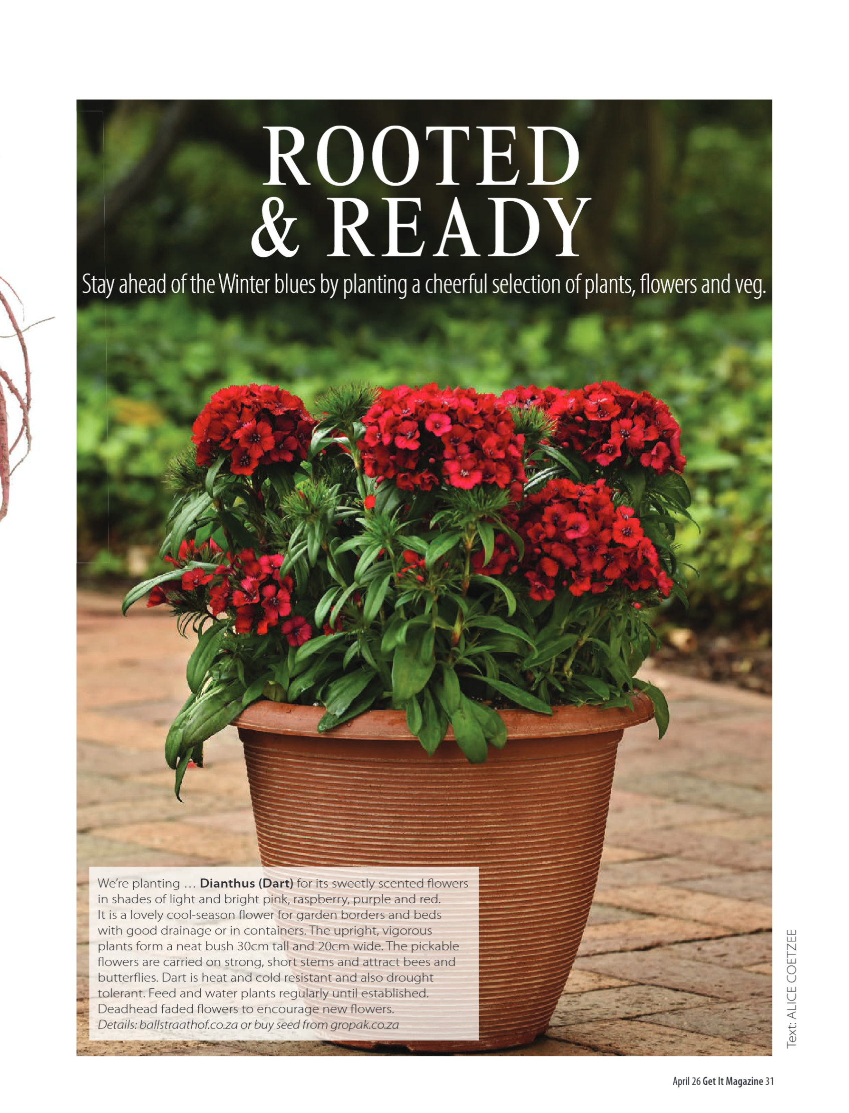 Get It Pretoria April 2026 page 31