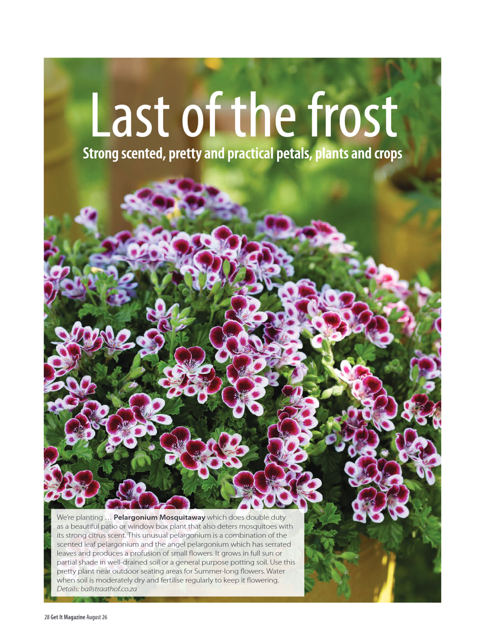 Get It Pretoria August 2026 page 28