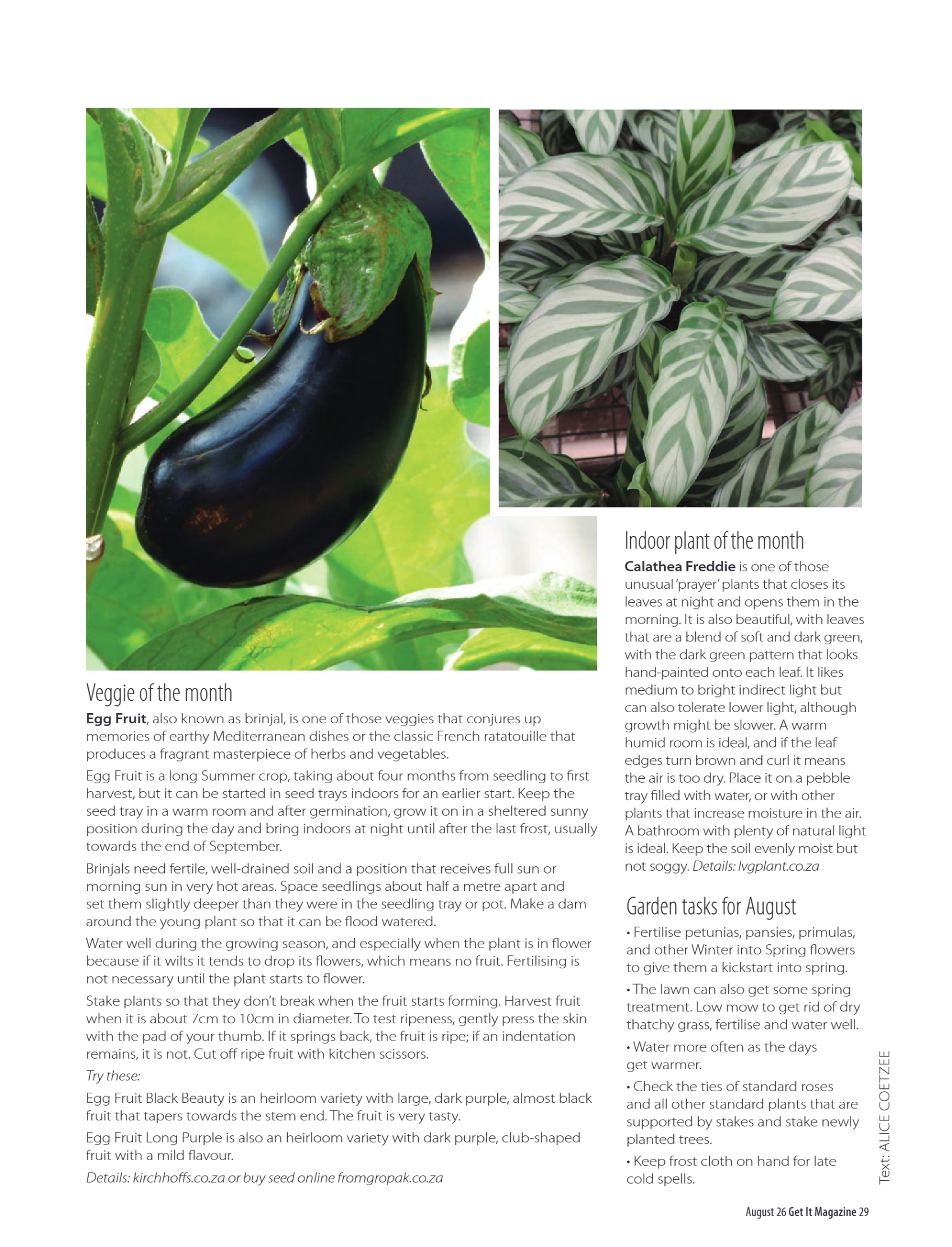 Get It Pretoria August 2026 page 29