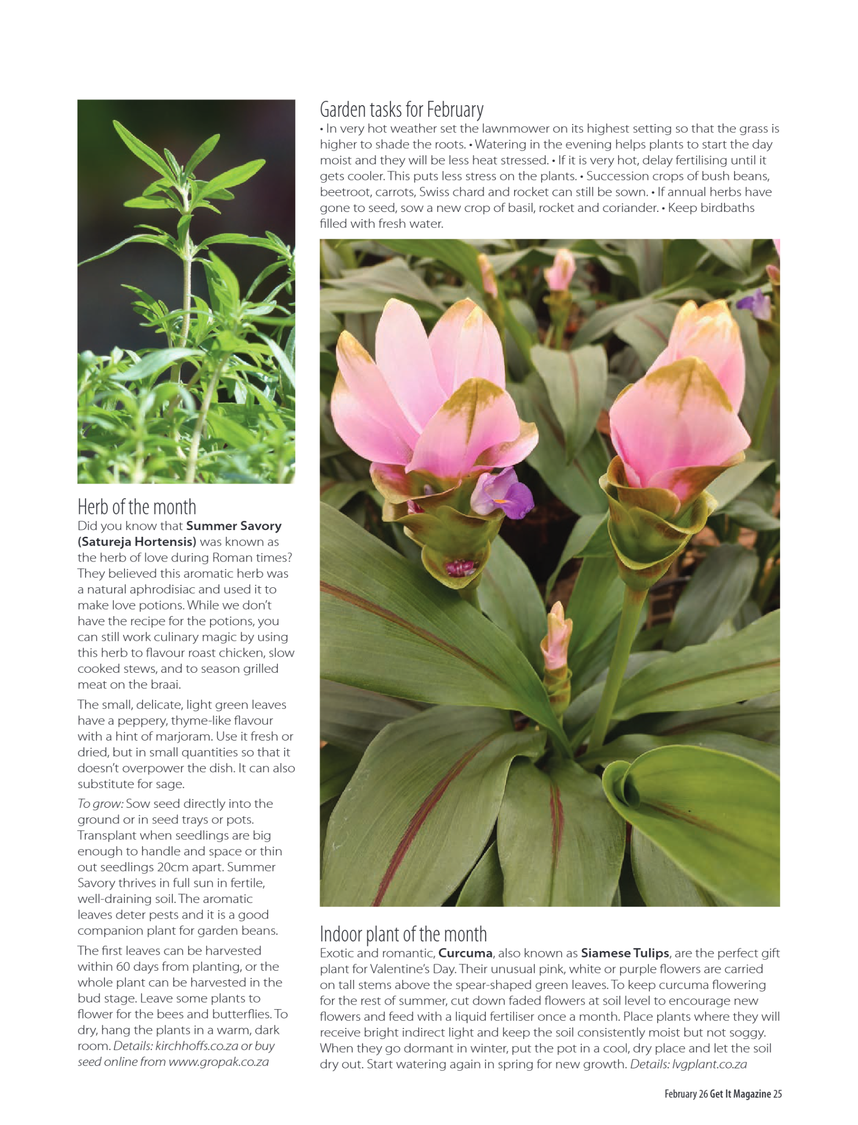 Get It Pretoria February 2026 page 25