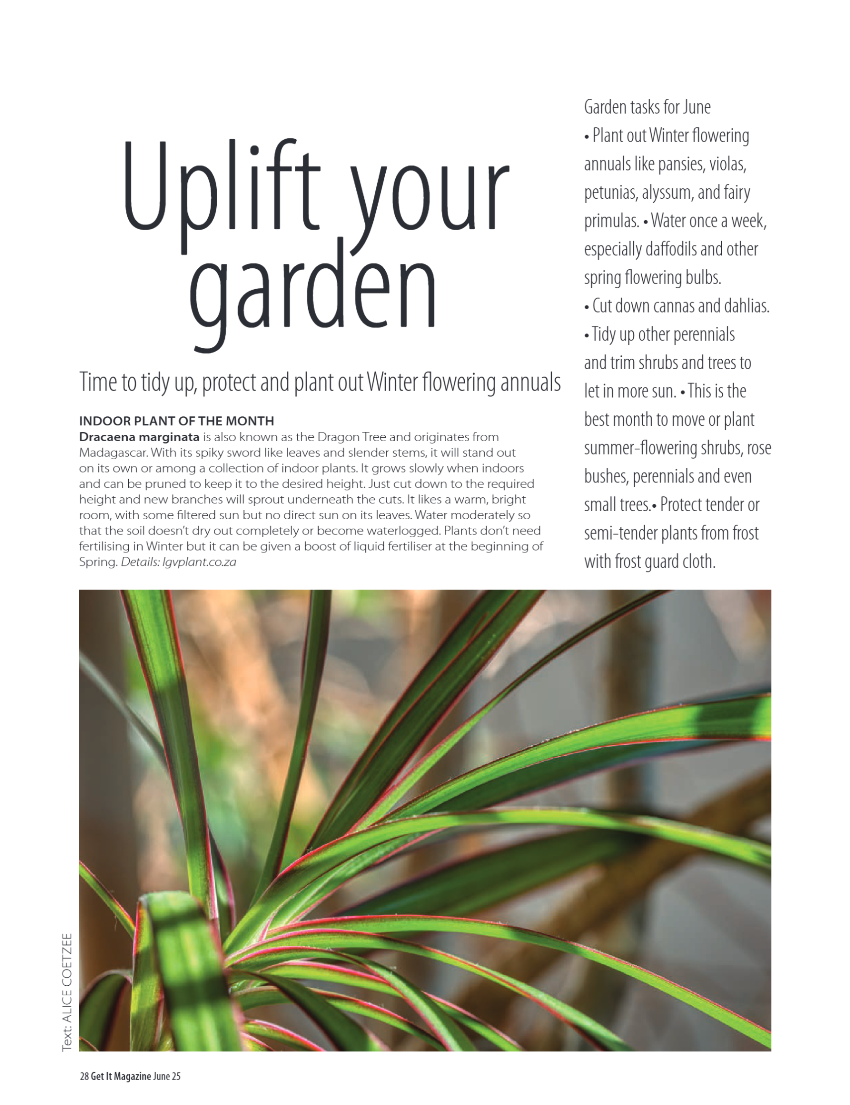 Get It Pretoria June 2025 page 28