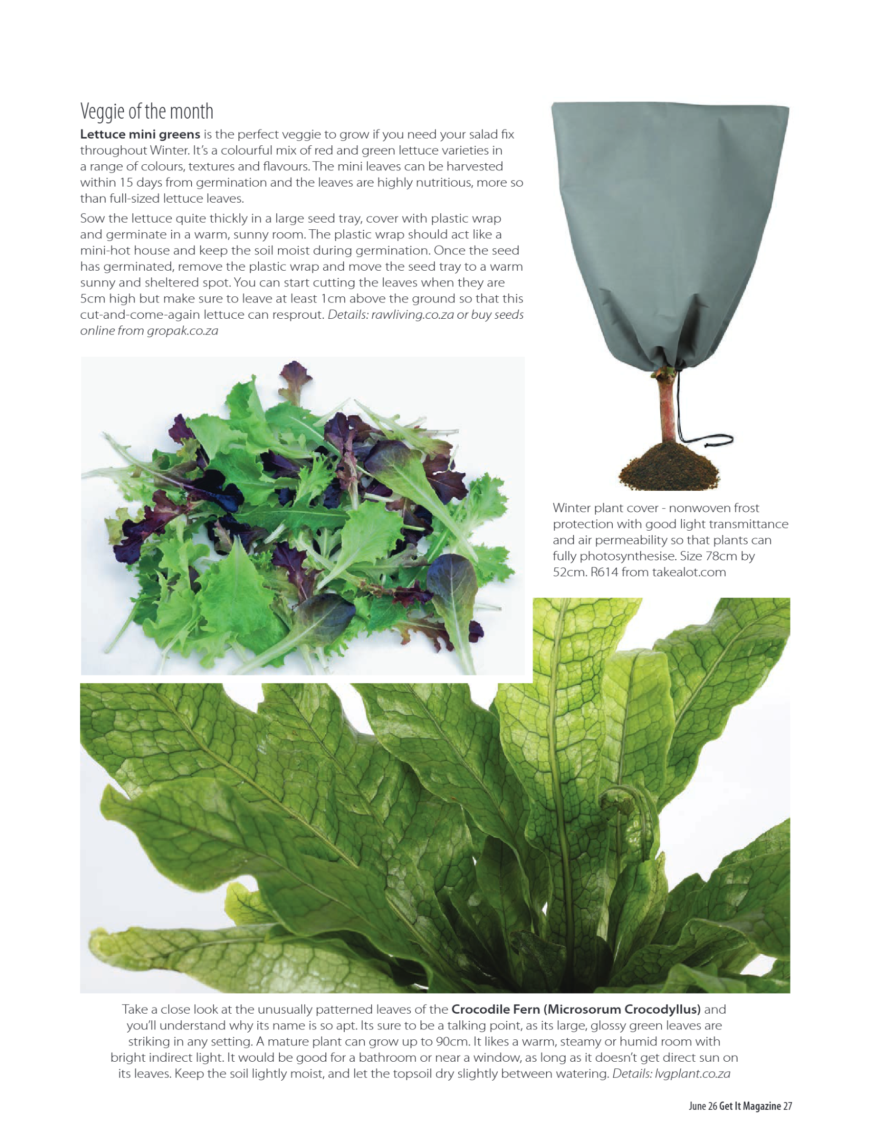 Get It Pretoria June 2026 page 27