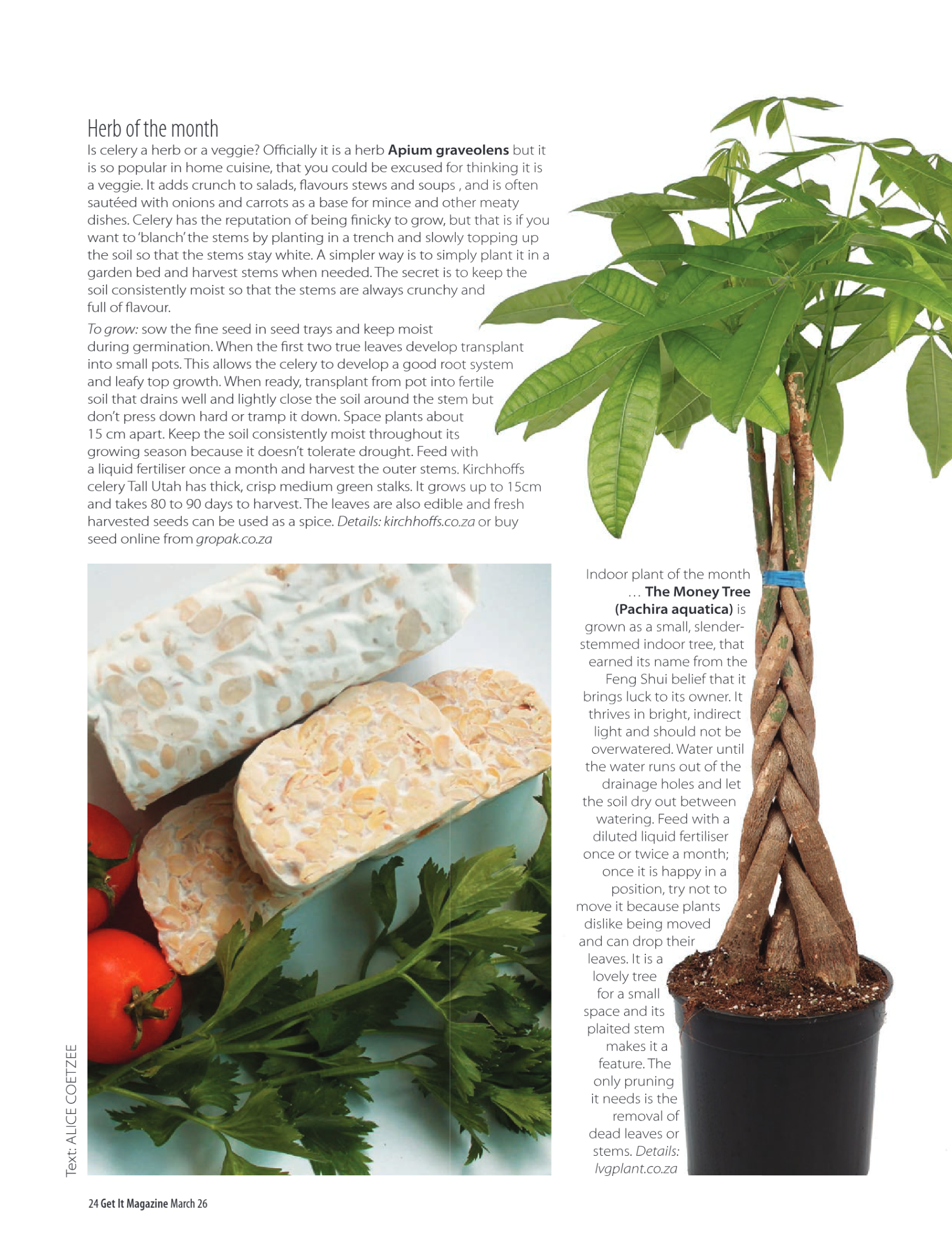 Get It Pretoria March 2026 page 24