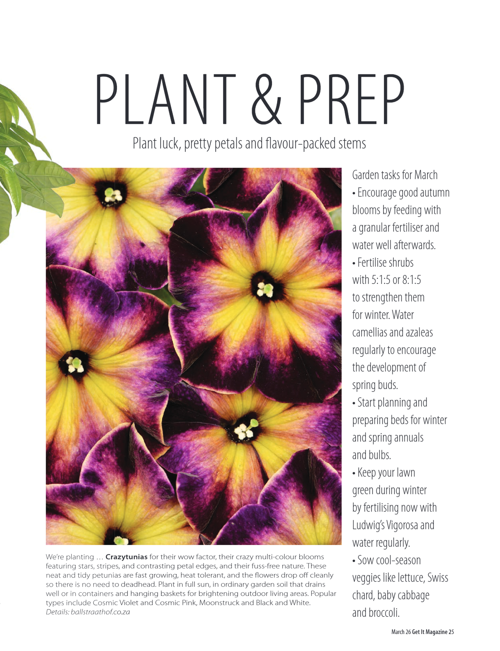 Get It Pretoria March 2026 page 25