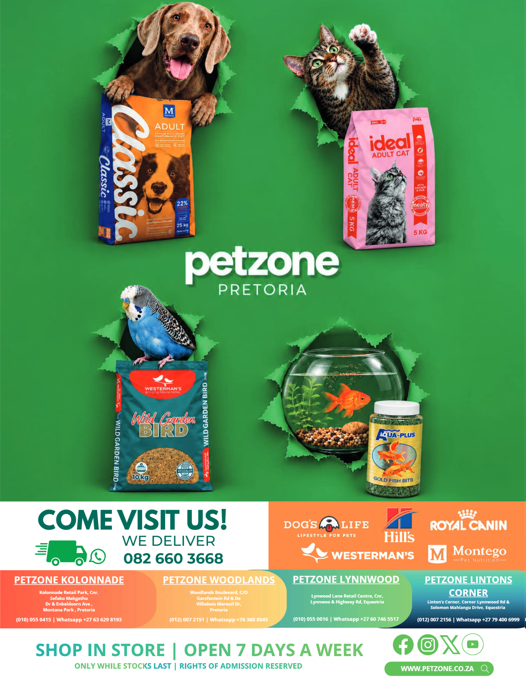 Get It Pretoria – November 2026 page 15