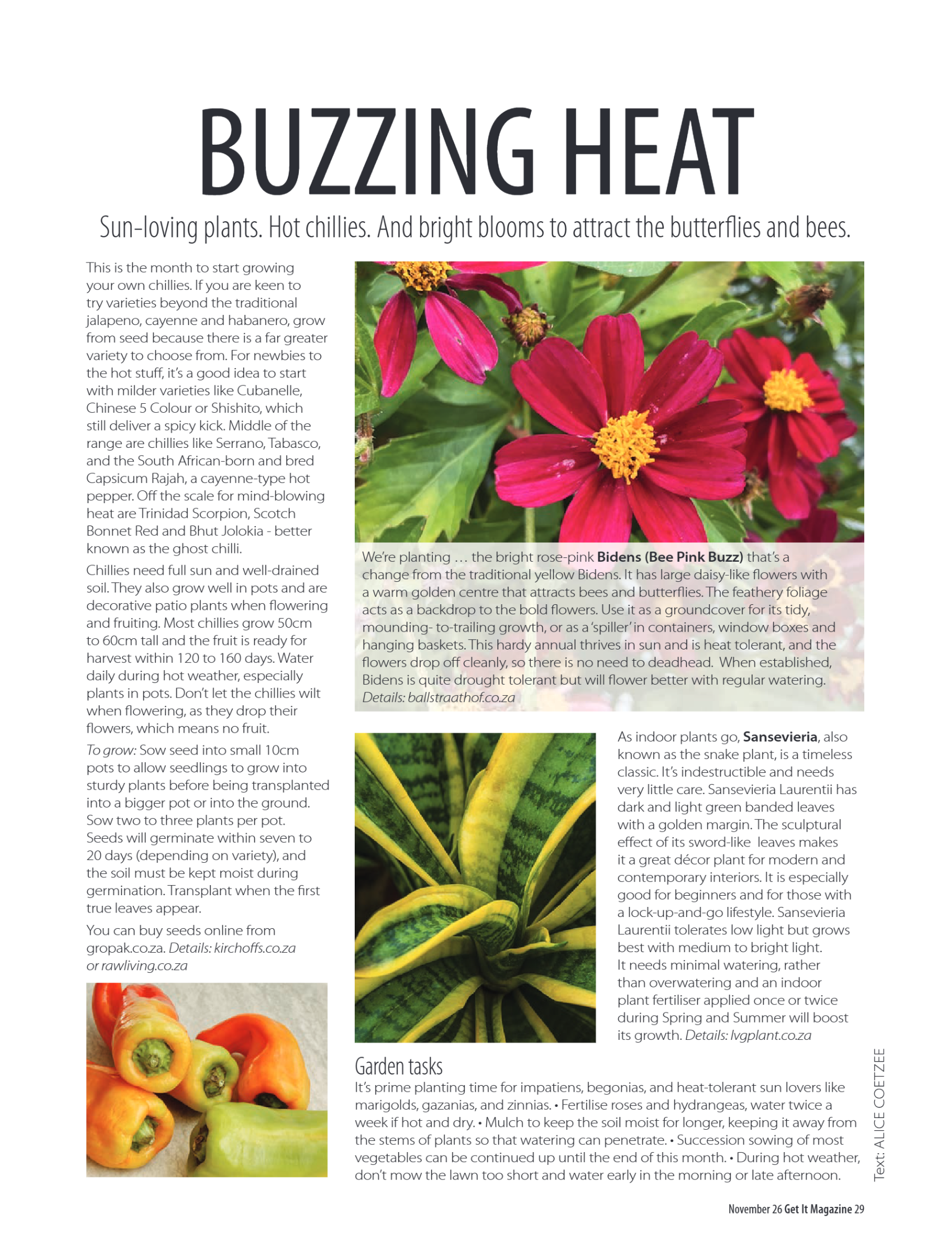 Get It Pretoria – November 2026 page 29