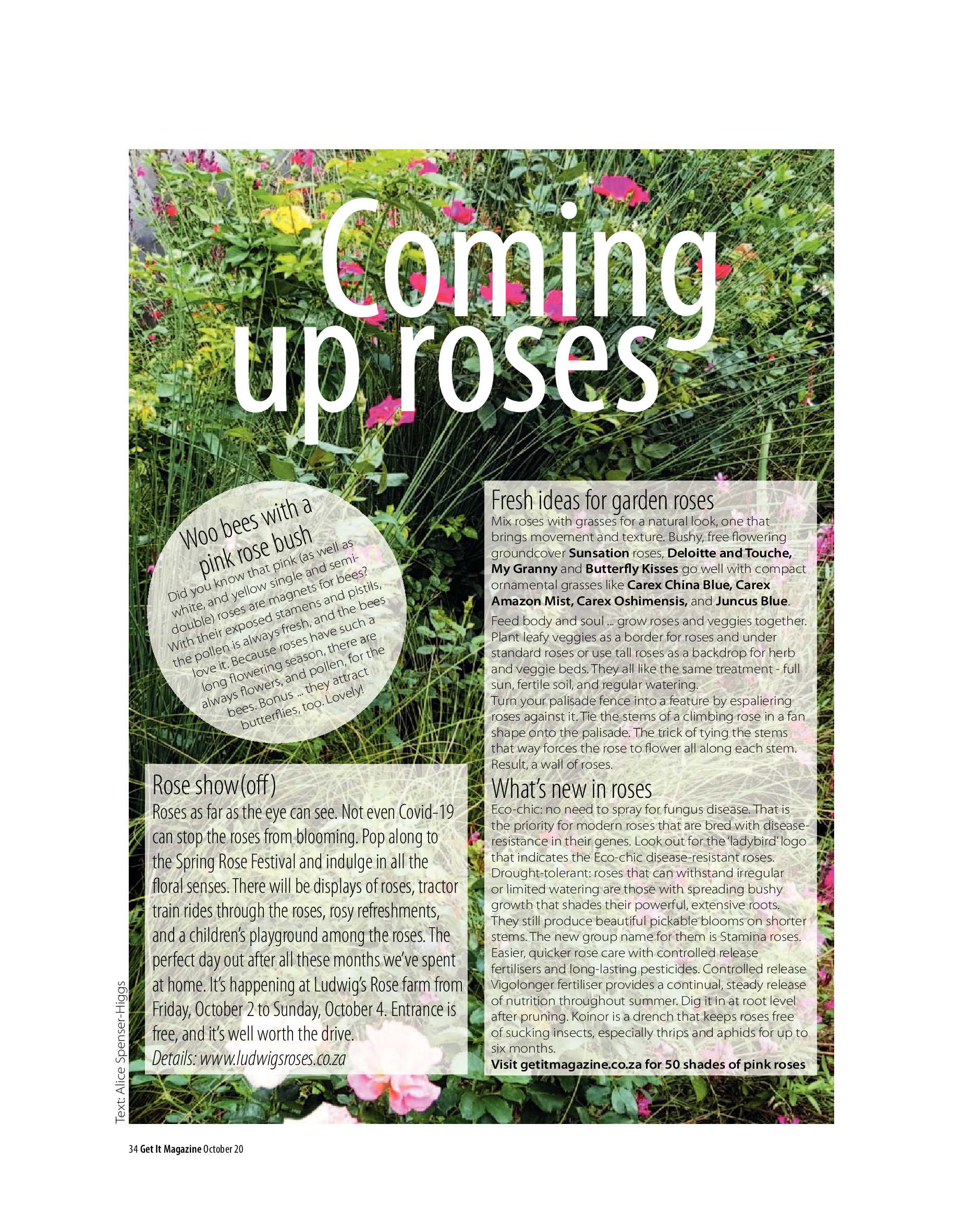 Get It Pretoria October 2020 page 34