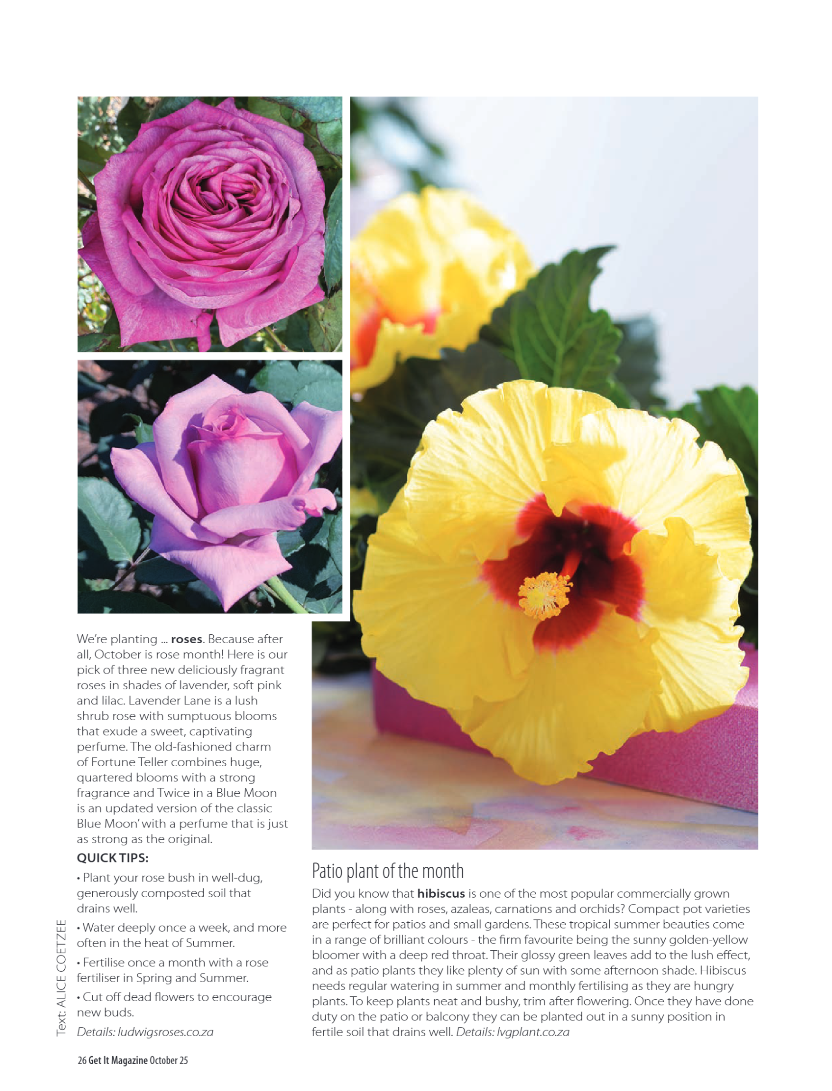 Get It Pretoria October 2025 page 26