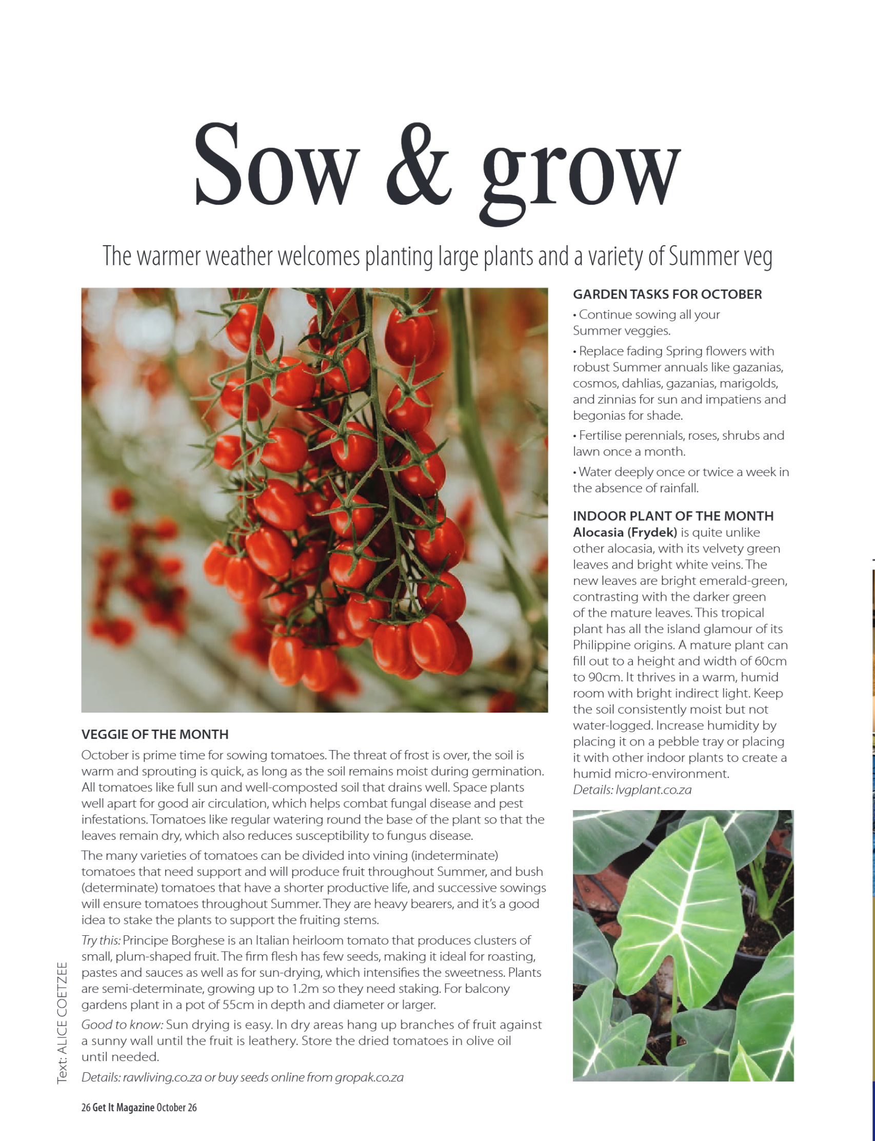 Get It Pretoria October 2026 page 26