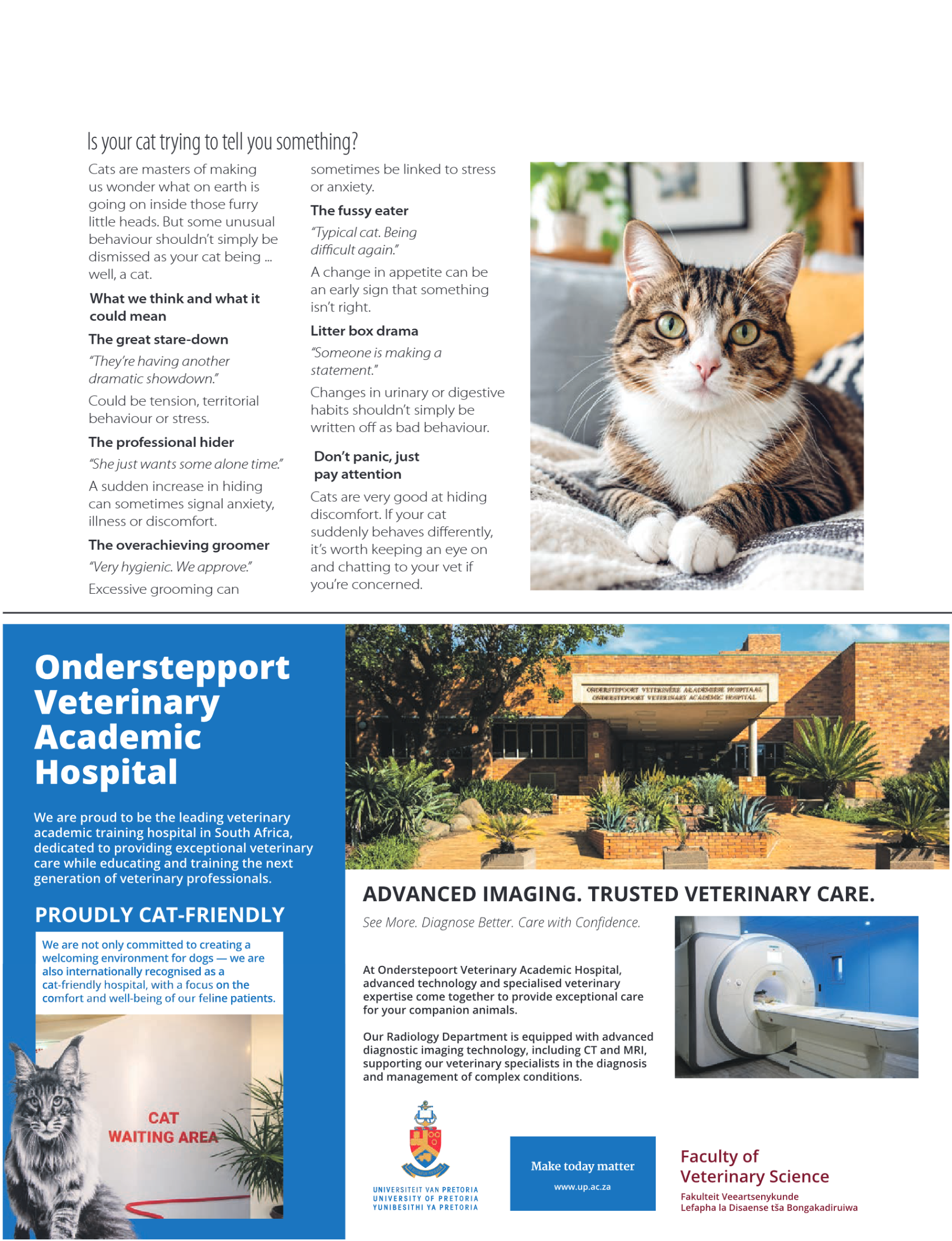 Get It Pretoria October 2026 page 29
