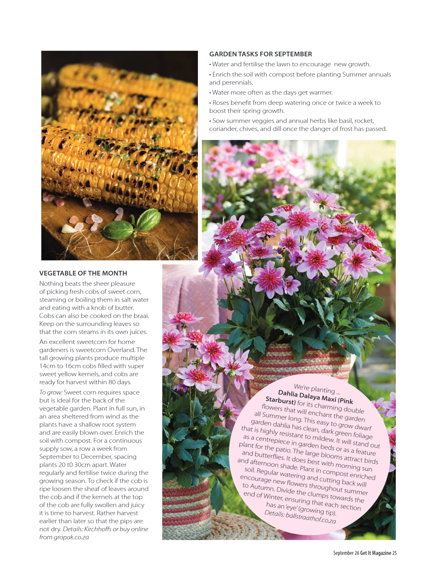 Get It Pretoria September 2026 page 25