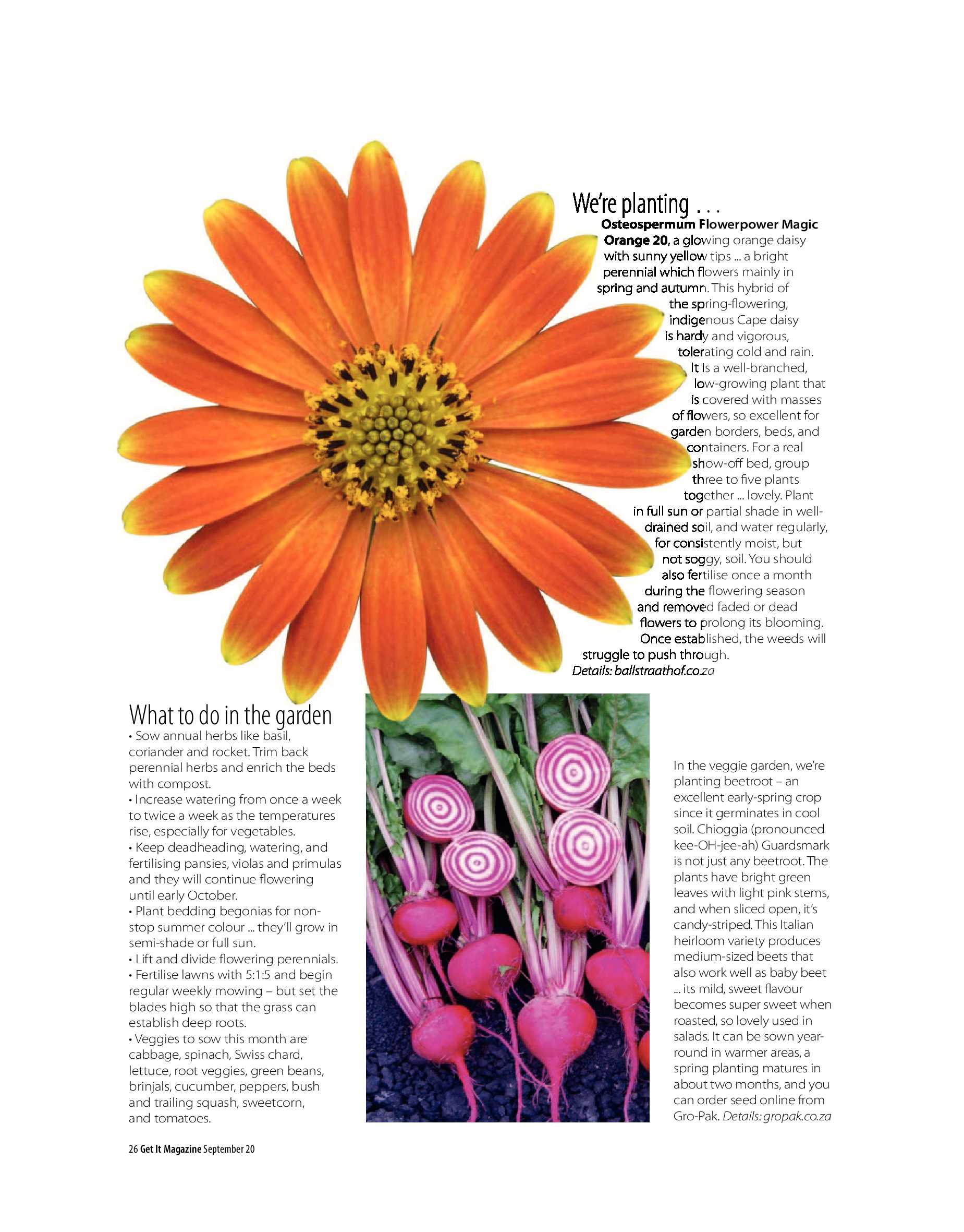 Get It September 2020 page 26