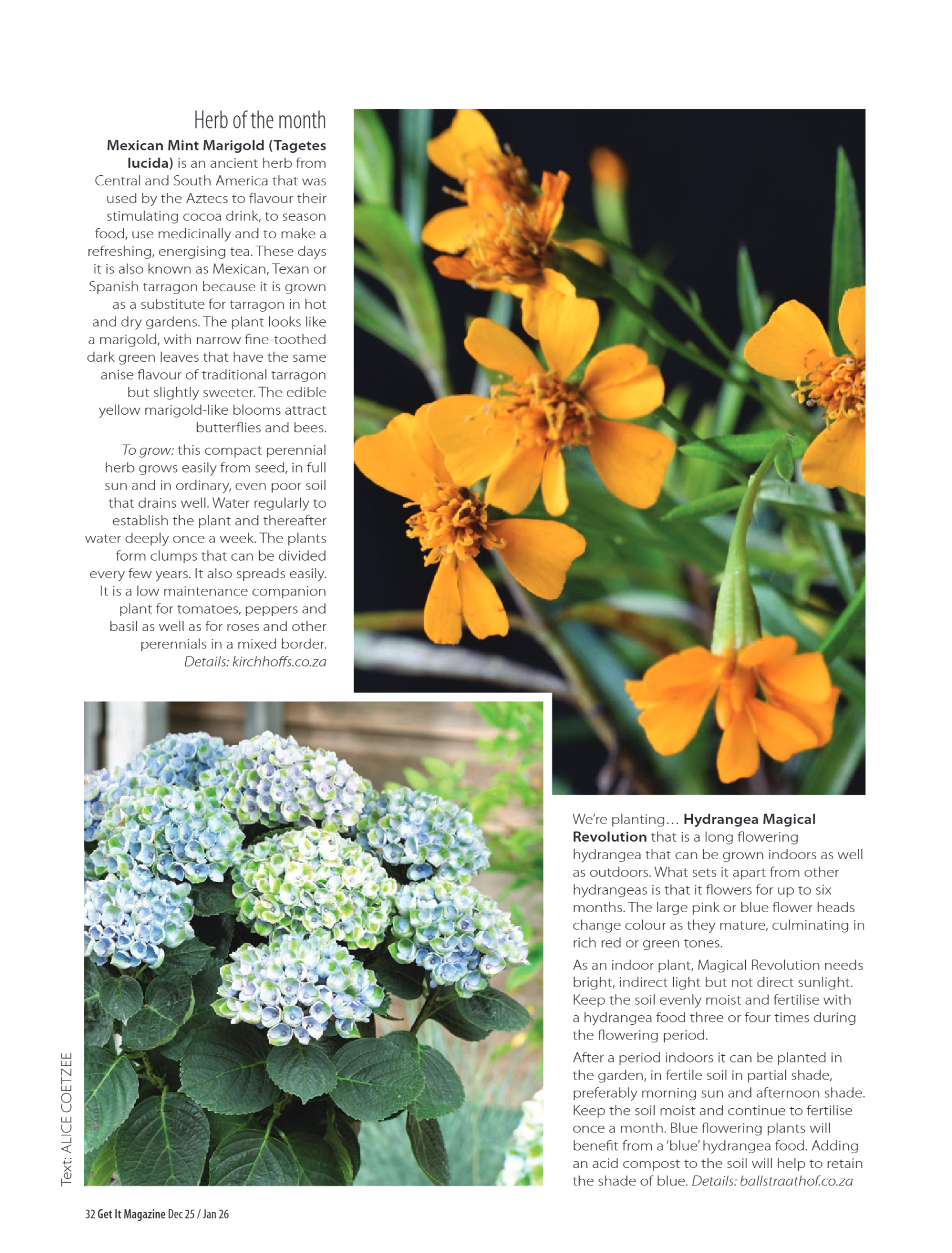 Get it PTA December 2025 page 32