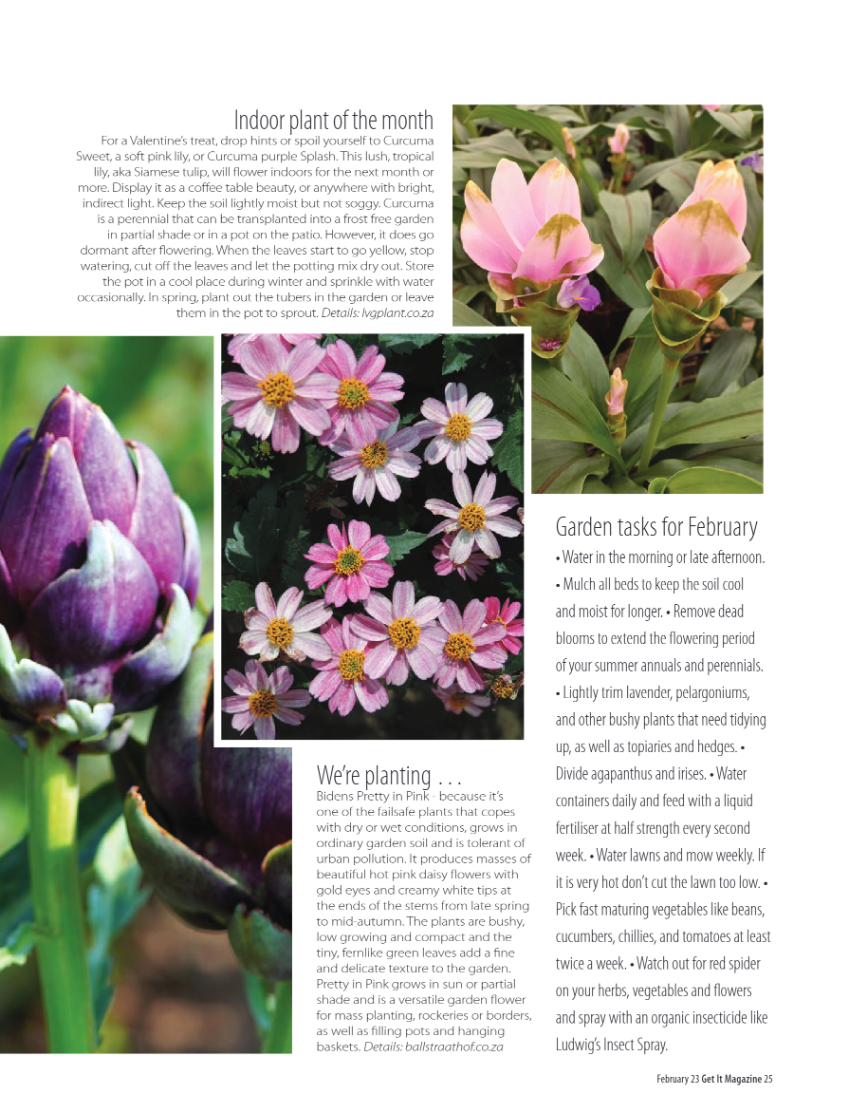 PRETORIA GET IT FEBRUARY 2023 page 25