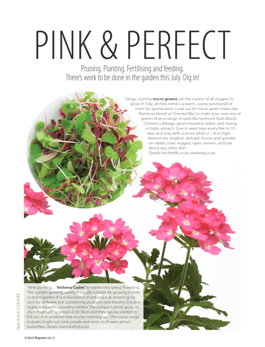 PRETORIA GET IT JULY 2023 page 26