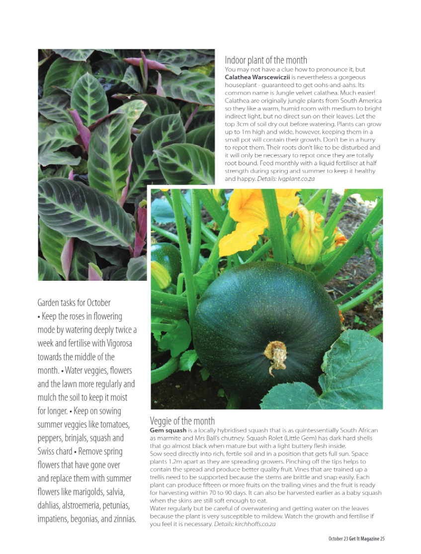 PRETORIA GET IT OCTOBER 2023 page 25