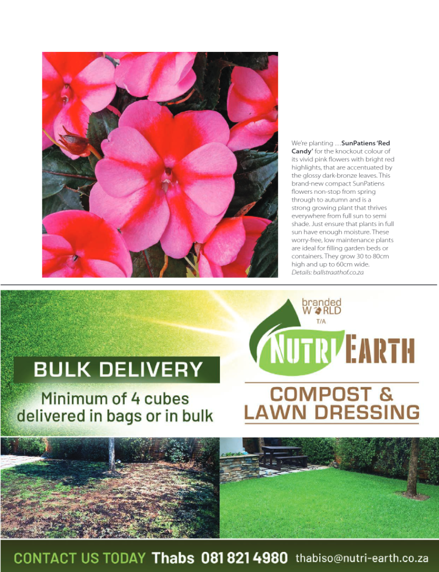 PRETORIA GET IT SEPTEMBER 2023 page 25