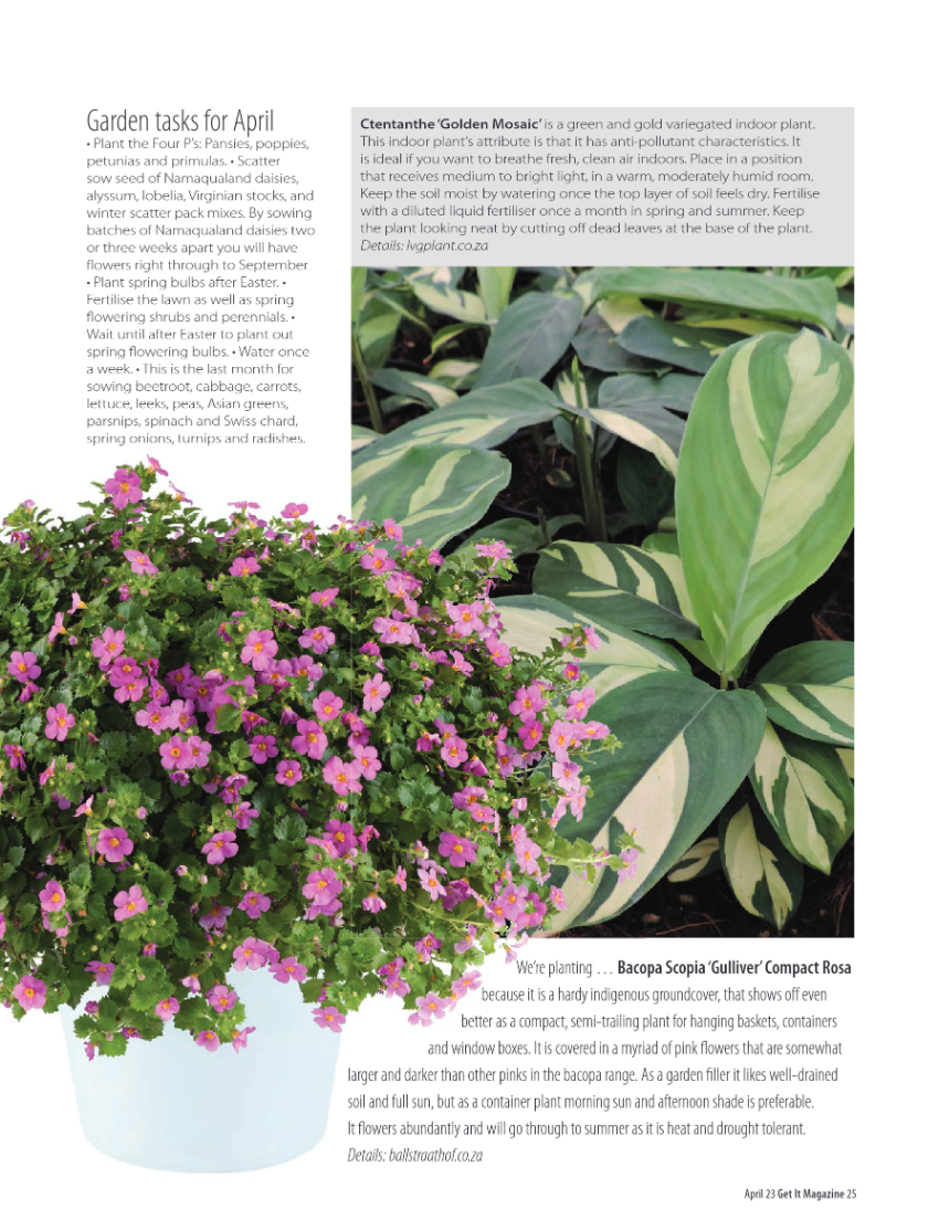 PRETORIA GET IT APRIL 2023 page 25
