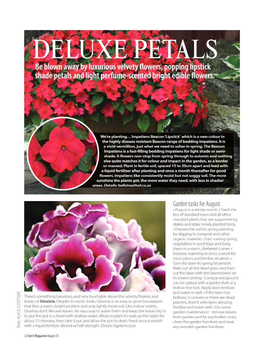 PRETORIA GET IT AUGUST MAGAZINE page 22