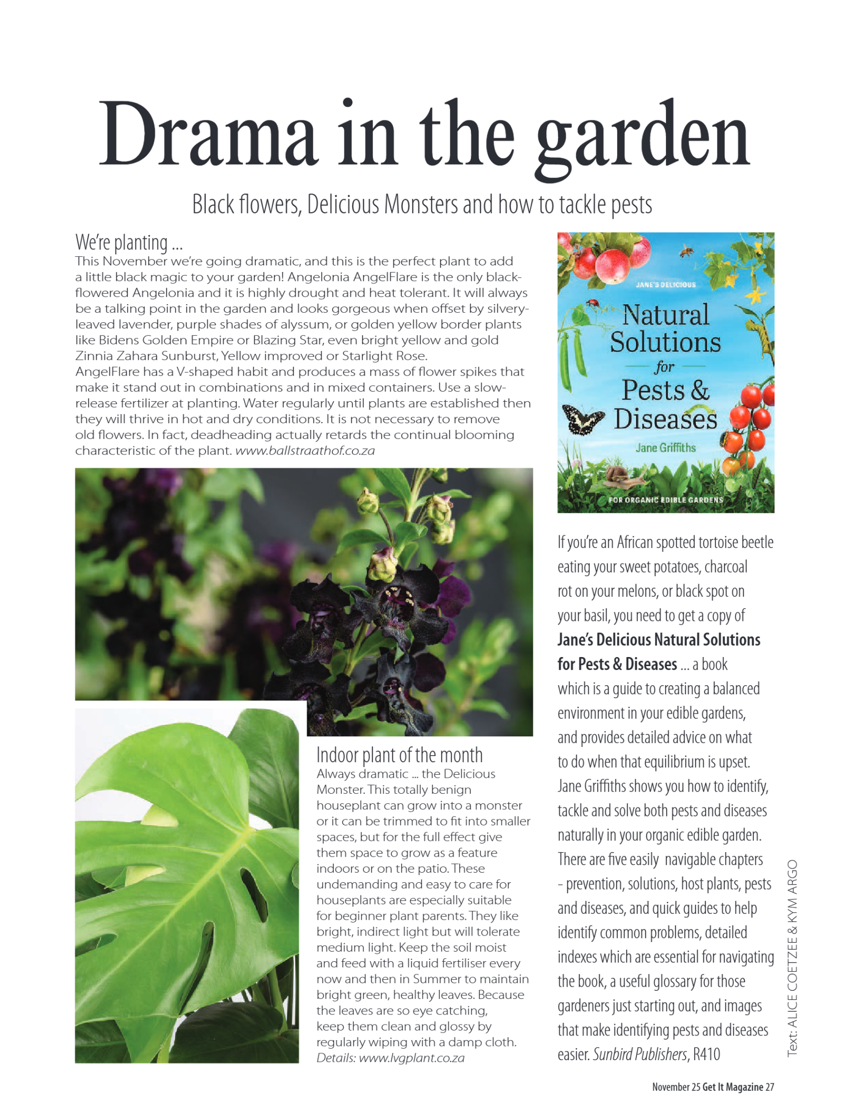 Get it PTA November 25 page 27