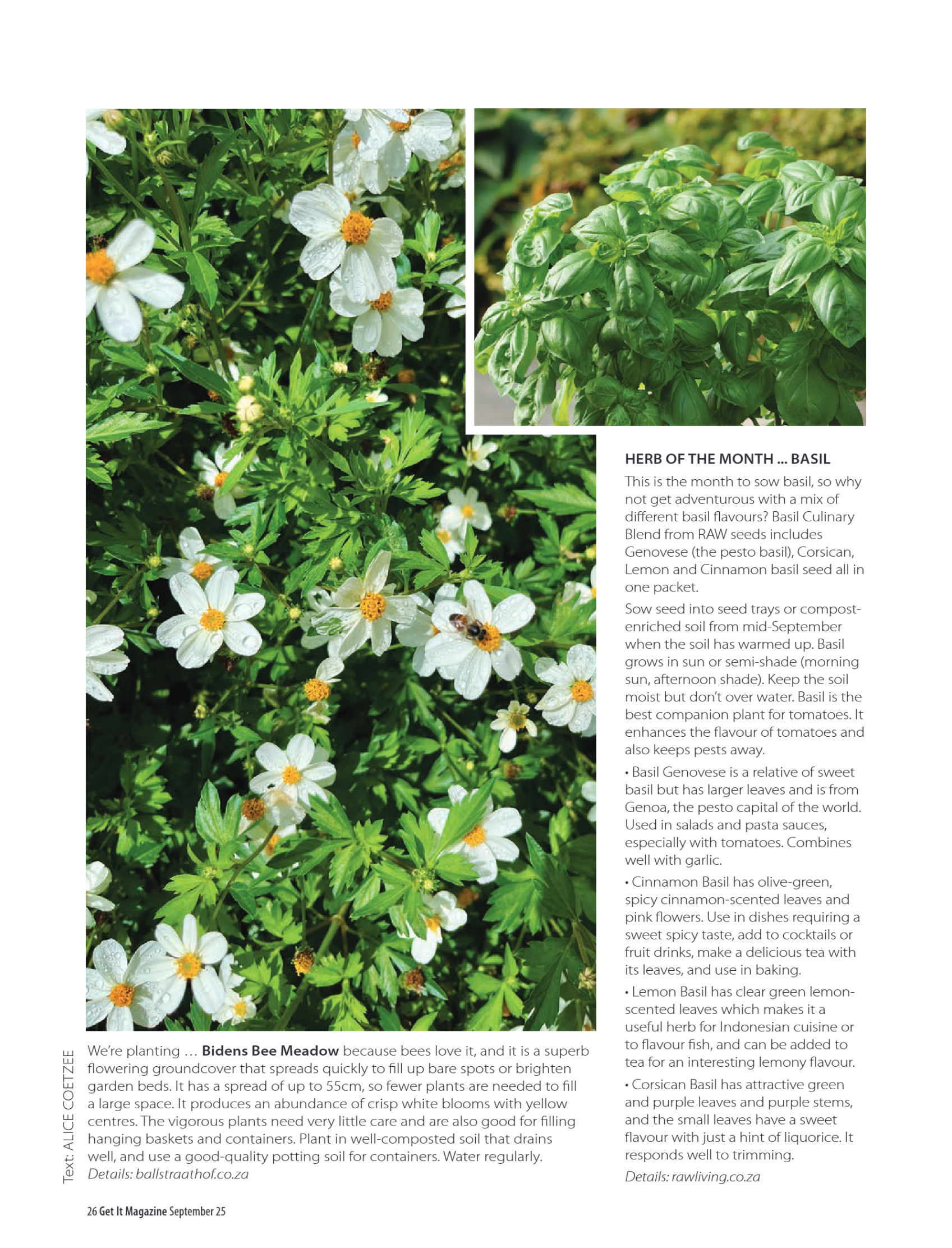 Pretoria Get It September 2025 page 26